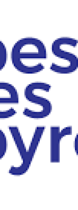 logo tarbes lourdes pyrénées agglo